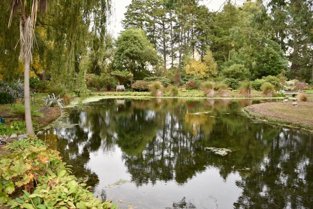 rangiora-things-to-do-garden